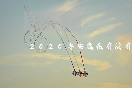 2020年安逸花有没有逾期的 2020年安逸花有没有逾期的