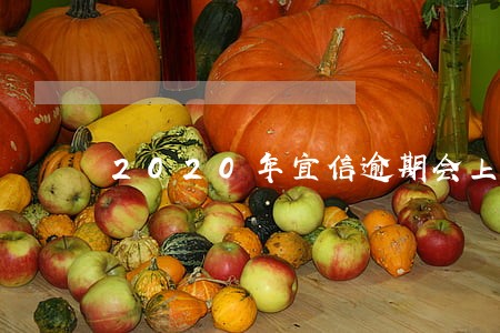 2020年宜信逾期会上征信吗