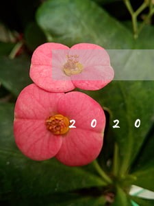 2020年宜兴法院5月开庭公告