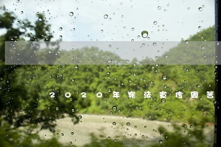 2020年宪法宣传周答案