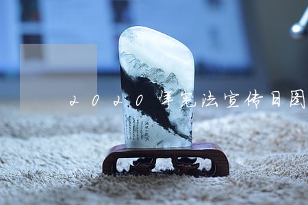 2020年宪法宣传日图片