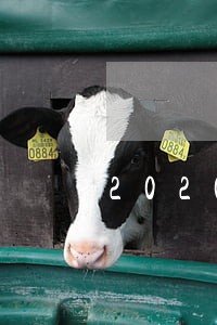 2020年宪法宣传日总结 2020年宪法宣传日总结