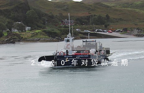2020年对贷款逾期 2020年对贷款逾期