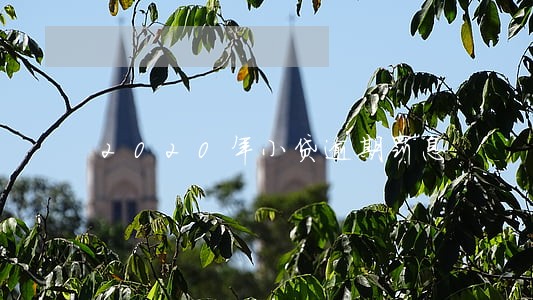 2020年小贷逾期罚息
