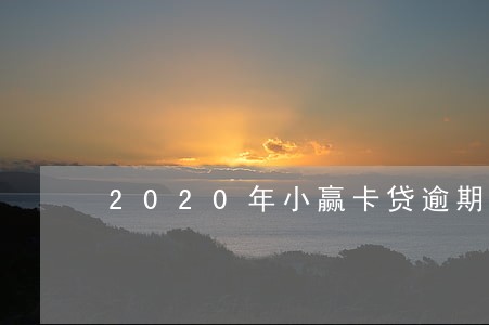 2020年小赢卡贷逾期十天