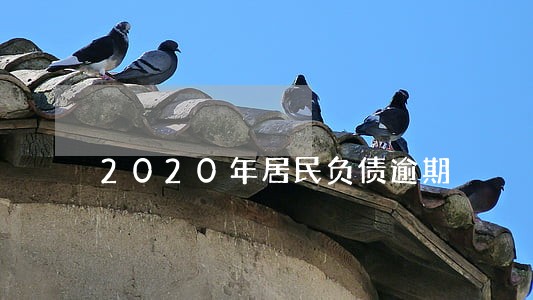2020年居民负债逾期 2020年居民负债逾期
