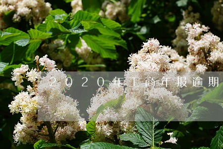 2020年工商年报逾期罚款