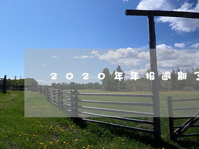 2020年年报逾期了一周 2020年年报逾期了一周