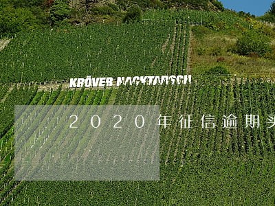 2020年征信逾期买房 2020年征信逾期买房