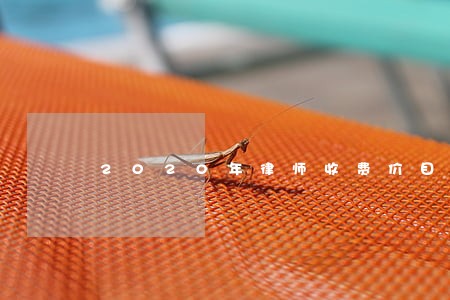 2020年律师收费价目表 2020年律师收费价目表