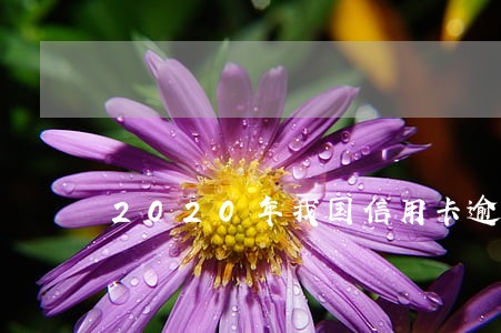 2020年我国信用卡逾期人数 2020年我国信用卡逾期人数
