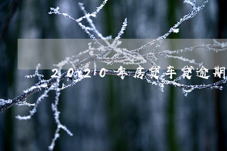 2020年房贷车贷逾期 2020年房贷车贷逾期