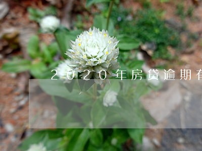 2020年房贷逾期有多少 2020年房贷逾期有多少