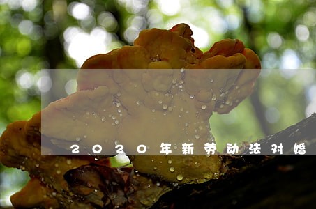 2020年新劳动法对婚假的规定 2020年新劳动法对婚假的规定
