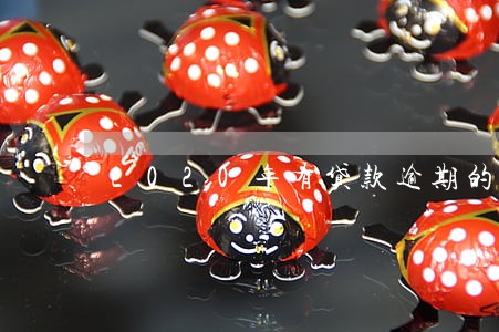 2020年有贷款逾期的吗 2020年有贷款逾期的吗