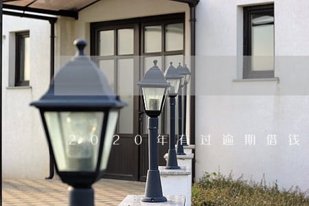 2020年有过逾期借钱口子 2020年有过逾期借钱口子