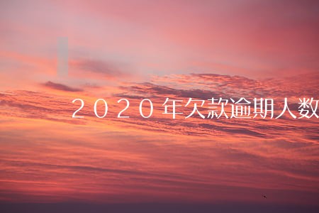 2020年欠款逾期人数 2020年欠款逾期人数