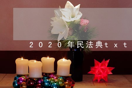 2020年民法典txt下载 2020年民法典txt下载