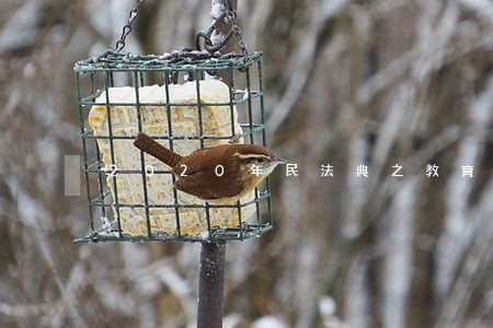 2020年民法典之教育 2020年民法典之教育