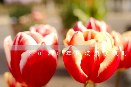 2020年民法典修改时间 2020年民法典修改时间