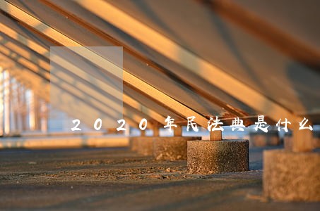 2020年民法典是什么 2020年民法典是什么