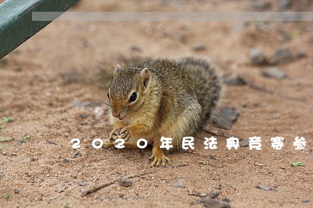 2020年民法典竞赛参考答案 2020年民法典竞赛参考答案