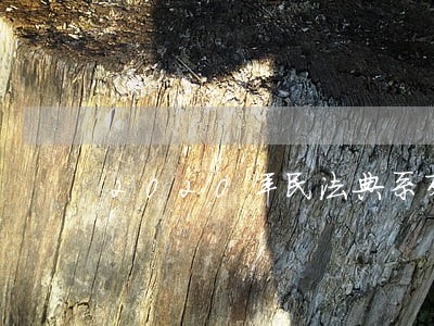 2020年民法典系列丛书 2020年民法典系列丛书