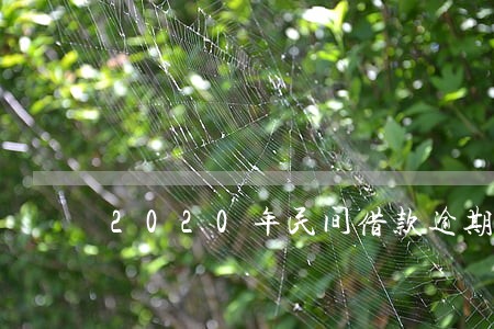 2020年民间借款逾期条款 2020年民间借款逾期条款