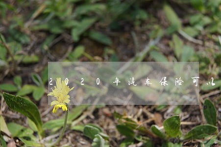 2020年汽车保险可以逾期吗 2020年汽车保险可以逾期吗