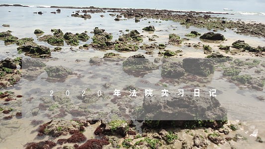 2020年法院实习日记 2020年法院实习日记