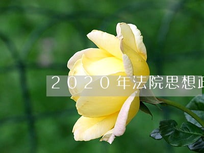 2020年法院思想政治方面总结