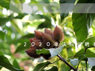 2020年法院招聘书记员 2020年法院招聘书记员