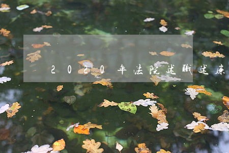 2020年法院述职述廉报告范文 2020年法院述职述廉报告范文