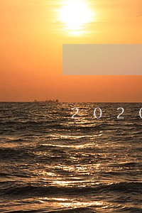 2020年深圳法院几号上班