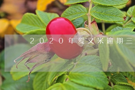2020年爱又米逾期三个月