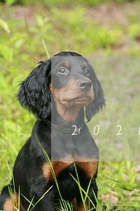 2020年玖富万卡逾期1天 2020年玖富万卡逾期1天