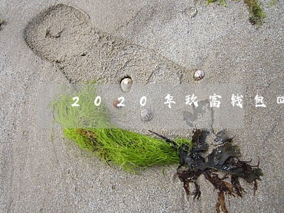 2020年玖富钱包回款逾期 2020年玖富钱包回款逾期