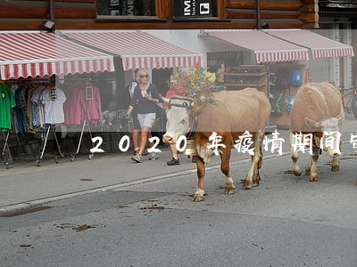 2020年疫情期间审车逾期 2020年疫情期间审车逾期