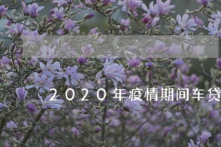 2020年疫情期间车贷逾期 2020年疫情期间车贷逾期