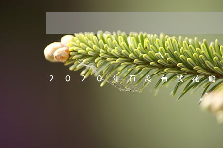 2020年百度有钱花逾期 2020年百度有钱花逾期