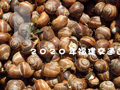 2020年福建交通违法处罚标准 2020年福建交通违法处罚标准