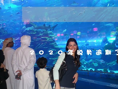 2020年税务逾期了两次 2020年税务逾期了两次