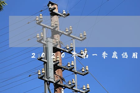 2020年第一季度信用卡逾期