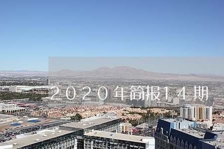 2020年简报14期 2020年简报14期