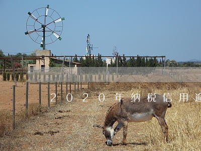 2020年纳税信用逾期
