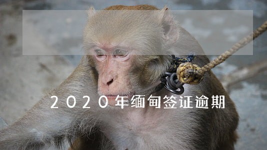 2020年缅甸签证逾期 2020年缅甸签证逾期