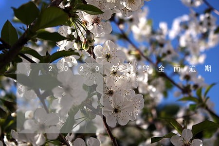 2020年网贷全面逾期怎么办 2020年网贷全面逾期怎么办