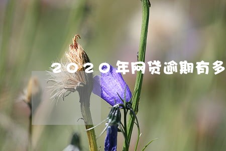 2020年网贷逾期有多少人 2020年网贷逾期有多少人