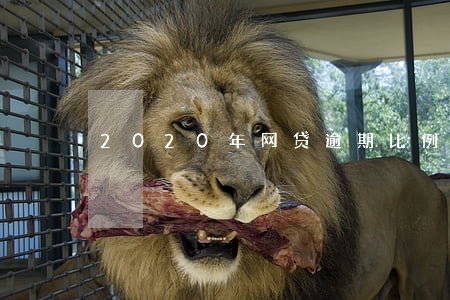 2020年网贷逾期比例 2020年网贷逾期比例