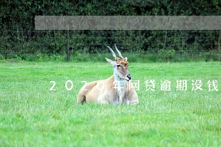 2020年网贷逾期没钱还 2020年网贷逾期没钱还
